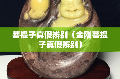 菩提子真假辨別（金剛菩提子真假辨別）
