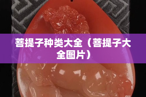 菩提子種類大全（菩提子大全圖片）