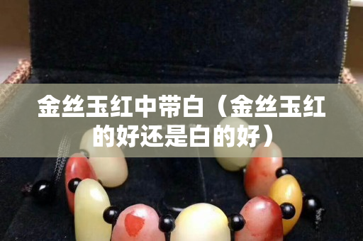 金絲玉紅中帶白（金絲玉紅的好還是白的好）
