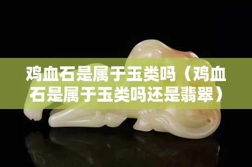 雞血石是屬于玉類嗎（雞血石是屬于玉類嗎還是翡翠）