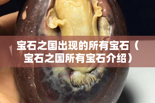 寶石之國(guó)出現(xiàn)的所有寶石（寶石之國(guó)所有寶石介紹）