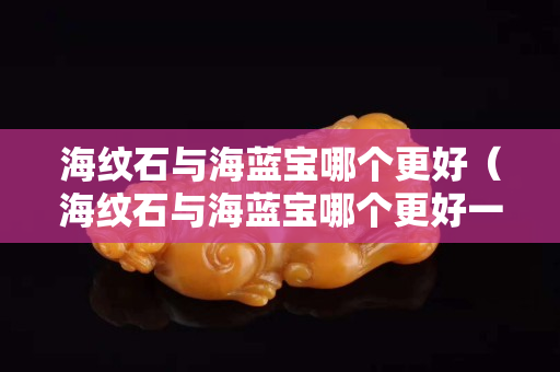 海紋石與海藍寶哪個更好（海紋石與海藍寶哪個更好一些）