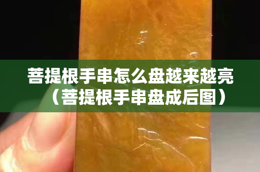 菩提根手串怎么盤越來越亮（菩提根手串盤成后圖）