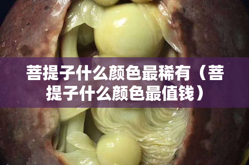 菩提子什么顏色最稀有（菩提子什么顏色最值錢）