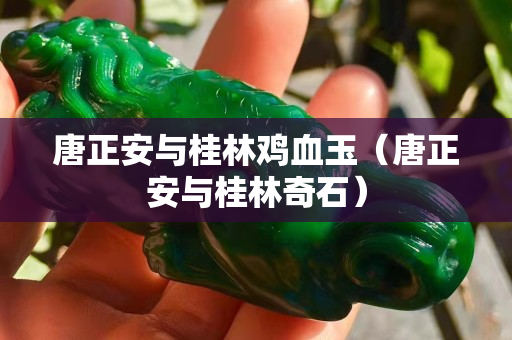 唐正安與桂林雞血玉（唐正安與桂林奇石）