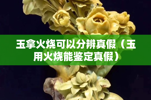 玉拿火燒可以分辨真假（玉用火燒能鑒定真假）