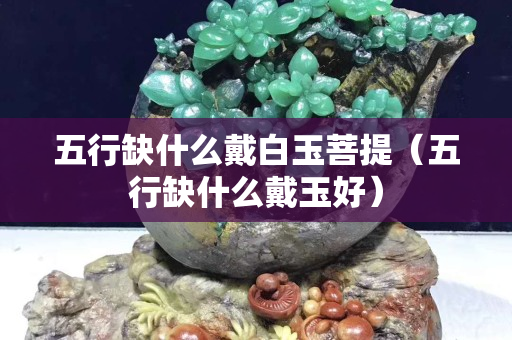 五行缺什么戴白玉菩提（五行缺什么戴玉好）