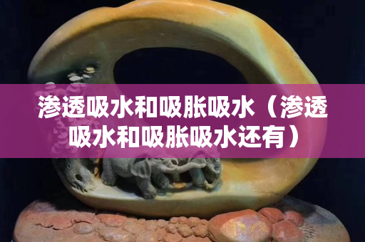 滲透吸水和吸脹吸水（滲透吸水和吸脹吸水還有）