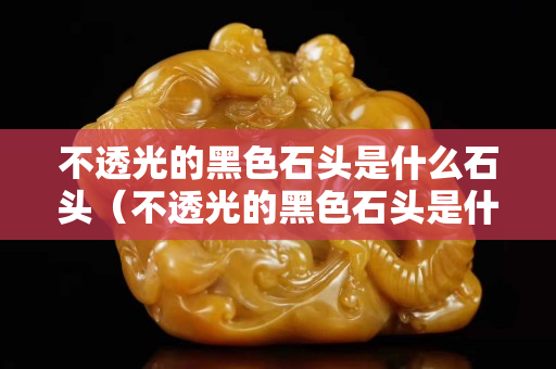 不透光的黑色石頭是什么石頭（不透光的黑色石頭是什么石頭圖片）