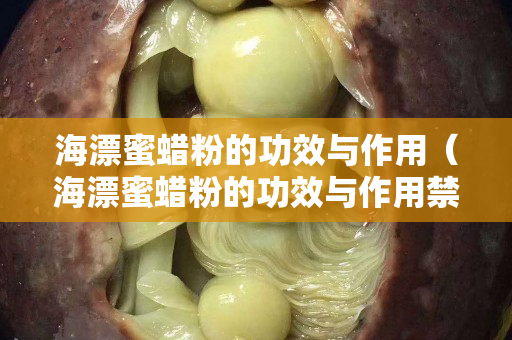 海漂蜜蠟粉的功效與作用（海漂蜜蠟粉的功效與作用禁忌）