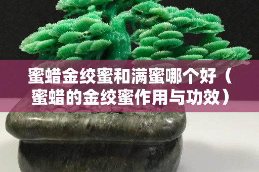 蜜蠟金絞蜜和滿蜜哪個好（蜜蠟的金絞蜜作用與功效）