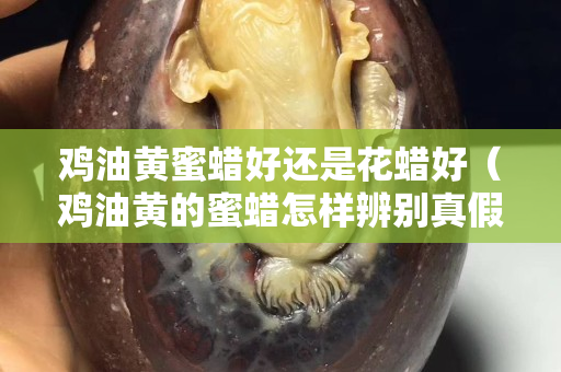 雞油黃蜜蠟好還是花蠟好（雞油黃的蜜蠟怎樣辨別真假）