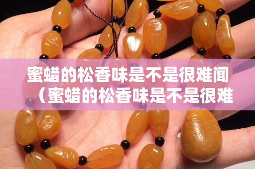 蜜蠟的松香味是不是很難聞（蜜蠟的松香味是不是很難聞呢）