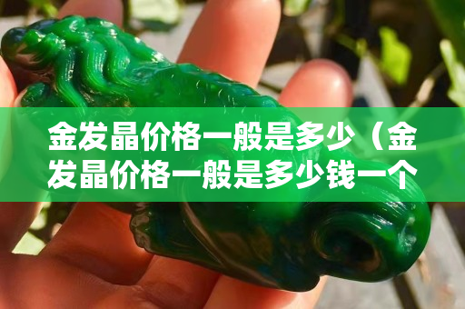 金發(fā)晶價(jià)格一般是多少（金發(fā)晶價(jià)格一般是多少錢一個(gè)）