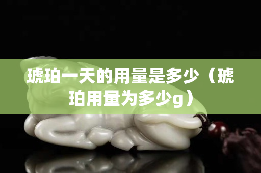 琥珀一天的用量是多少（琥珀用量為多少g）