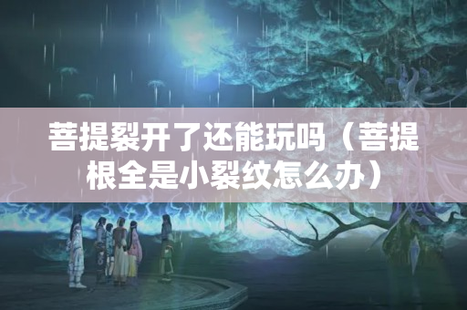 菩提裂開了還能玩嗎（菩提根全是小裂紋怎么辦）