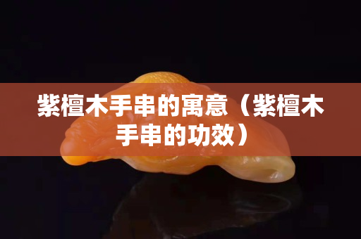 紫檀木手串的寓意（紫檀木手串的功效）