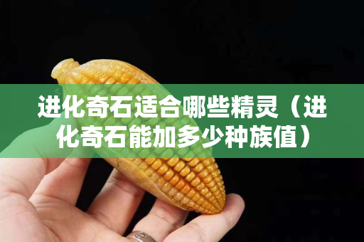 進化奇石適合哪些精靈（進化奇石能加多少種族值）