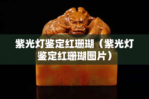 紫光燈鑒定紅珊瑚（紫光燈鑒定紅珊瑚圖片）