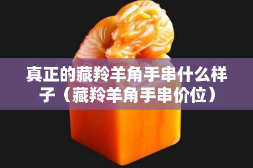 真正的藏羚羊角手串什么樣子（藏羚羊角手串價位）
