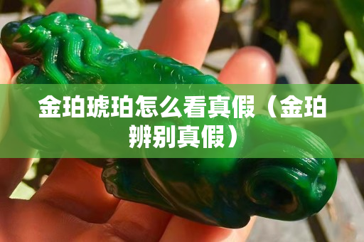 金珀琥珀怎么看真假（金珀辨別真假）