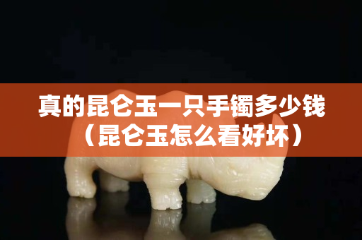 真的昆侖玉一只手鐲多少錢（昆侖玉怎么看好壞）