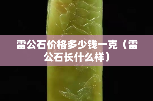 雷公石價格多少錢一克（雷公石長什么樣）