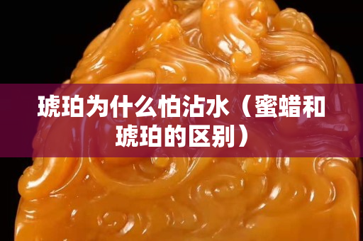 琥珀為什么怕沾水（蜜蠟和琥珀的區(qū)別）
