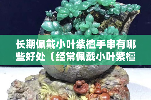 長期佩戴小葉紫檀手串有哪些好處（經常佩戴小葉紫檀對身體也有好處嗎）