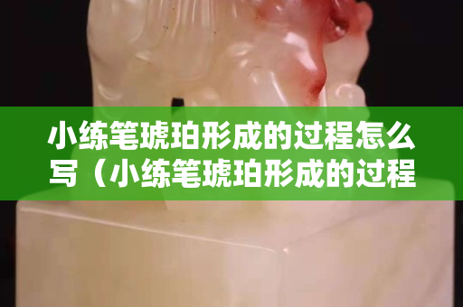 小練筆琥珀形成的過程怎么寫（小練筆琥珀形成的過程怎么寫作文）