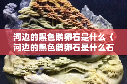 河邊的黑色鵝卵石是什么（河邊的黑色鵝卵石是什么石頭）