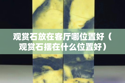 觀賞石放在客廳哪位置好（觀賞石擺在什么位置好）