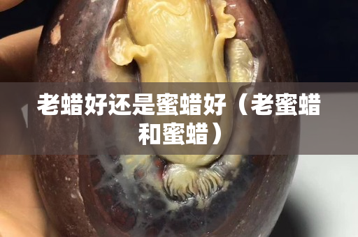 老蠟好還是蜜蠟好（老蜜蠟和蜜蠟）