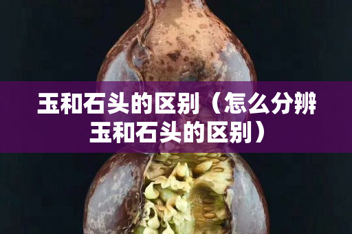 玉和石頭的區(qū)別（怎么分辨玉和石頭的區(qū)別）