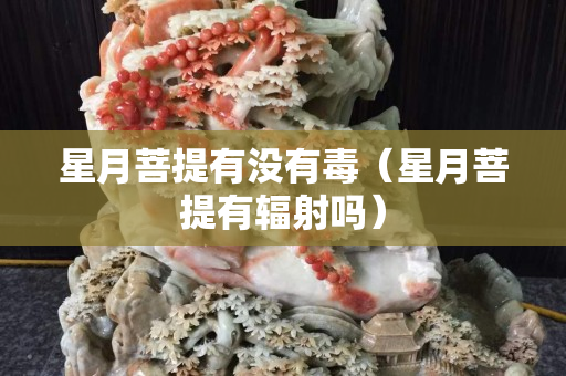 星月菩提有沒有毒（星月菩提有輻射嗎）