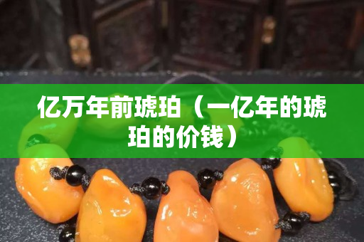 億萬(wàn)年前琥珀（一億年的琥珀的價(jià)錢）