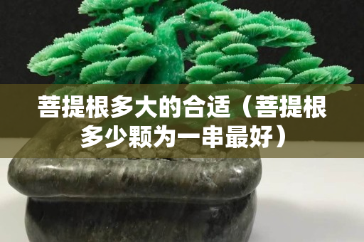 菩提根多大的合適（菩提根多少顆為一串最好）