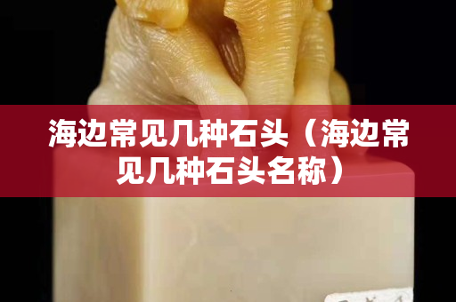 海邊常見幾種石頭（海邊常見幾種石頭名稱）