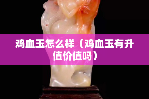 雞血玉怎么樣（雞血玉有升值價值嗎）