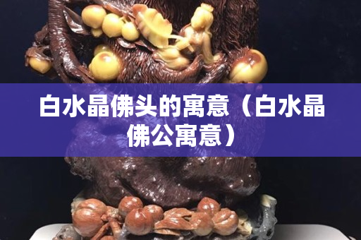 白水晶佛頭的寓意（白水晶佛公寓意）