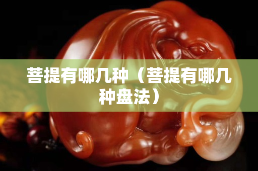 菩提有哪幾種（菩提有哪幾種盤法）