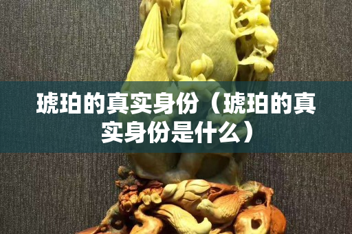 琥珀的真實身份（琥珀的真實身份是什么）