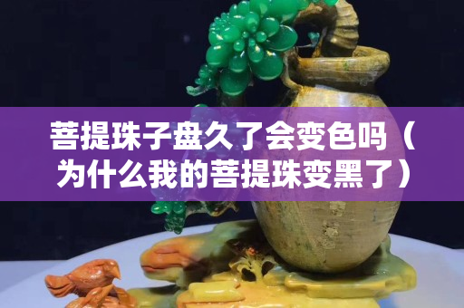 菩提珠子盤久了會變色嗎（為什么我的菩提珠變黑了）