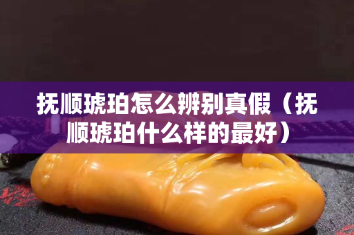 撫順琥珀怎么辨別真假（撫順琥珀什么樣的最好）