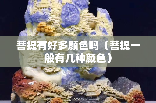 菩提有好多顏色嗎（菩提一般有幾種顏色）