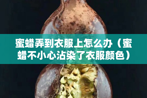 蜜蠟弄到衣服上怎么辦（蜜蠟不小心沾染了衣服顏色）