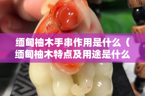 緬甸柚木手串作用是什么（緬甸柚木特點(diǎn)及用途是什么？）