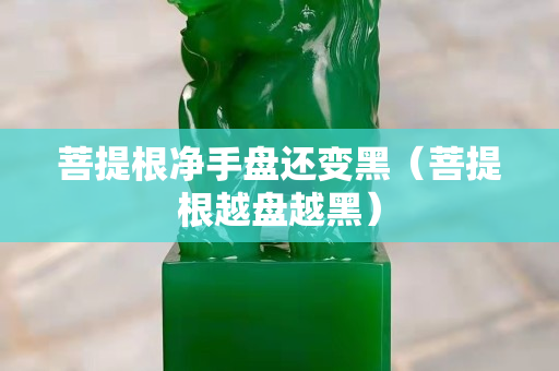 菩提根凈手盤還變黑（菩提根越盤越黑）
