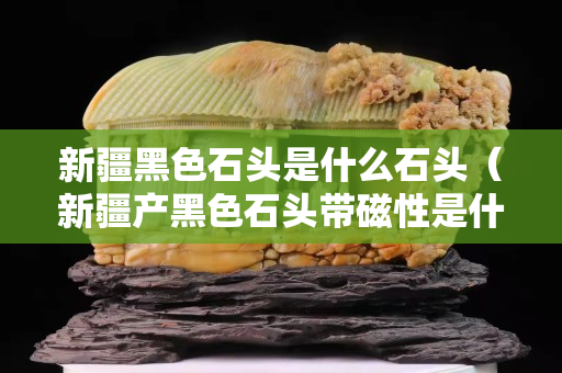 新疆黑色石頭是什么石頭（新疆產黑色石頭帶磁性是什么）