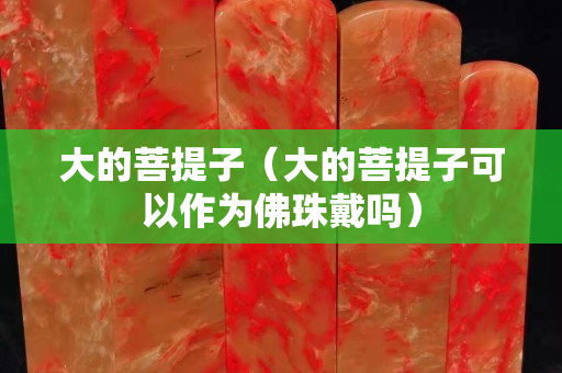 大的菩提子（大的菩提子可以作為佛珠戴嗎）